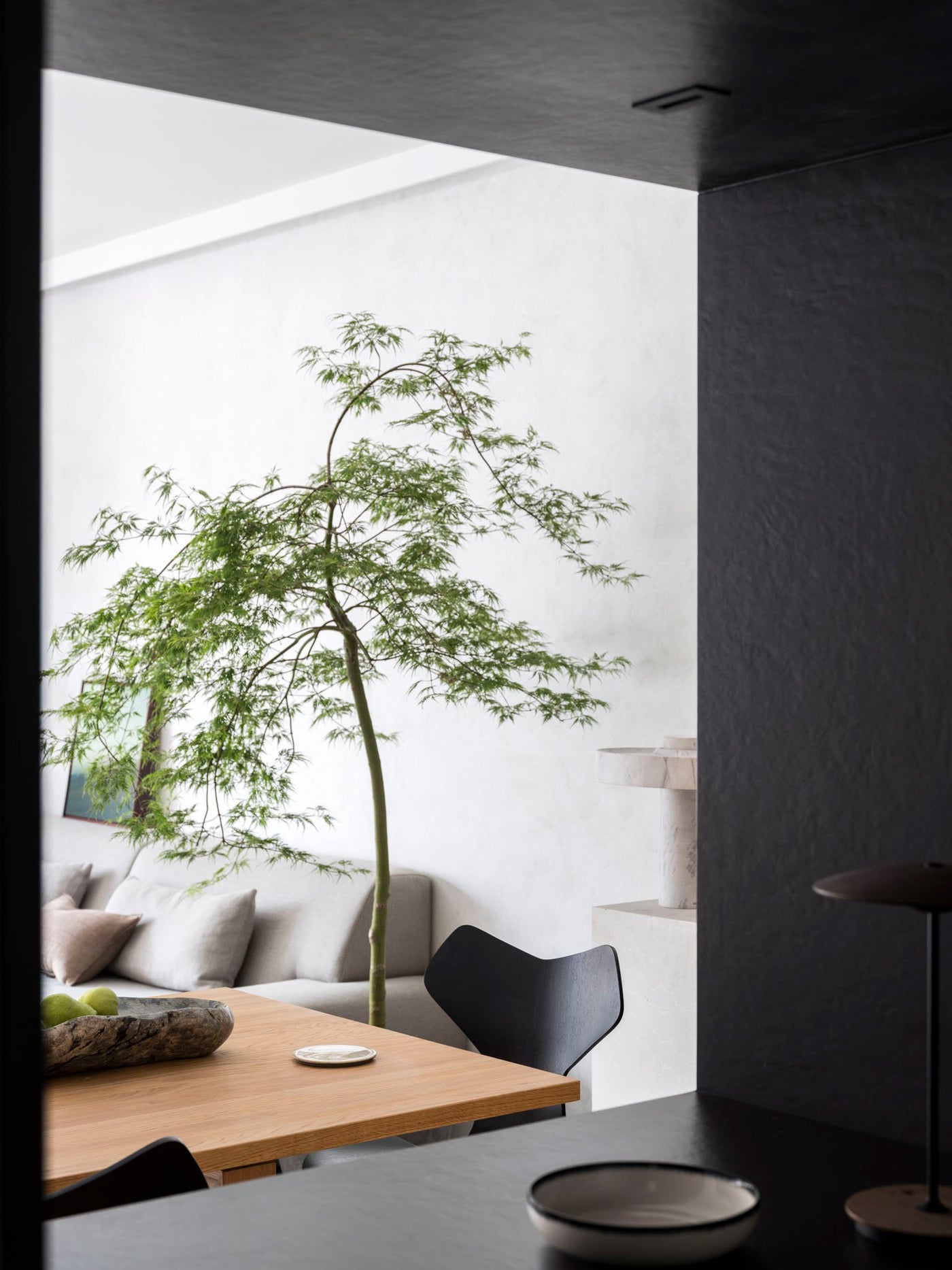 Projects - Brisbane Street Surry Hills