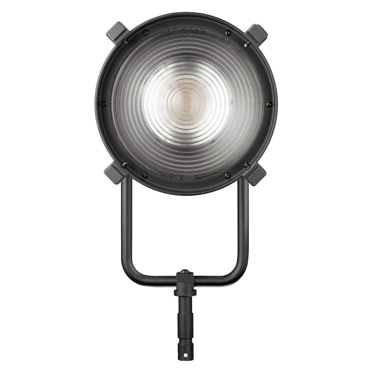 Velvet Light Kosmos Bicolour
